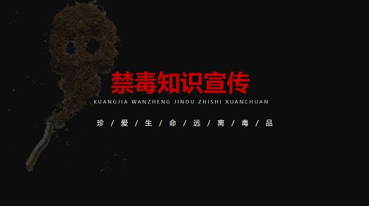 主题班会|筑牢禁毒防线 守护青春无毒 